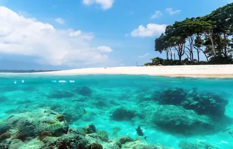 andaman trip package, andaman travel package, best andaman tour package, andaman tour packages for couple, andaman tour packages, andaman tour package cost, andaman packages for couple