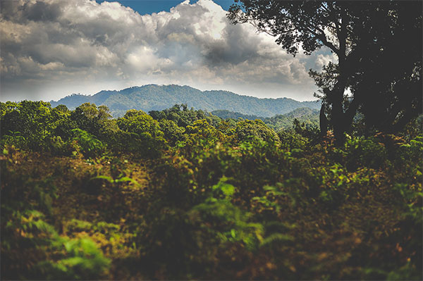 Costa Rica