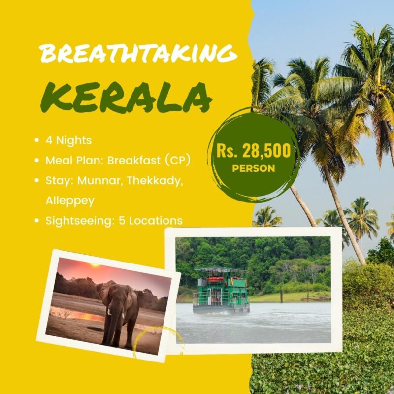 kerala tour packages