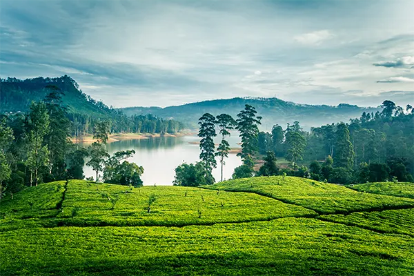 kerala