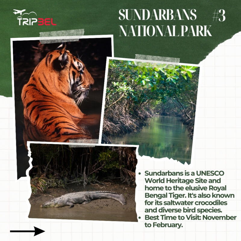 top wildlife spots in India